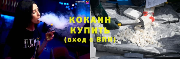 сатива Аркадак