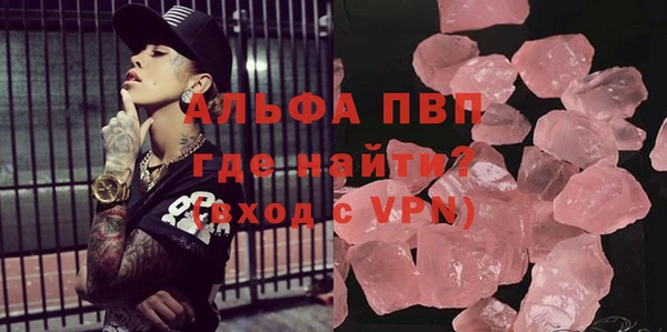 сатива Аркадак