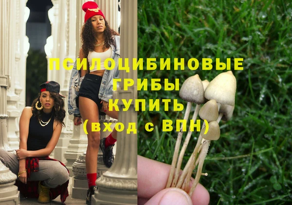 сатива Аркадак